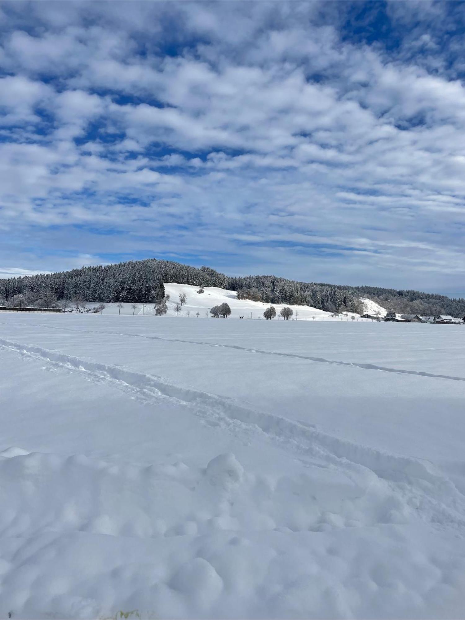 דירות Leutkirch im Allgäu Salty Sol מראה חיצוני תמונה